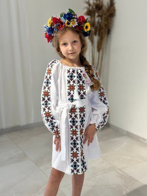 Сукня для дівчинки Зіронька черв /синя виш. 000001836 фото